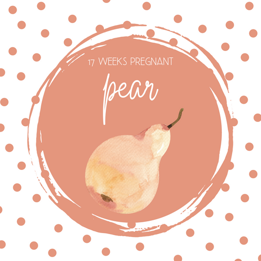 Pregnancy Tracker: Week 17