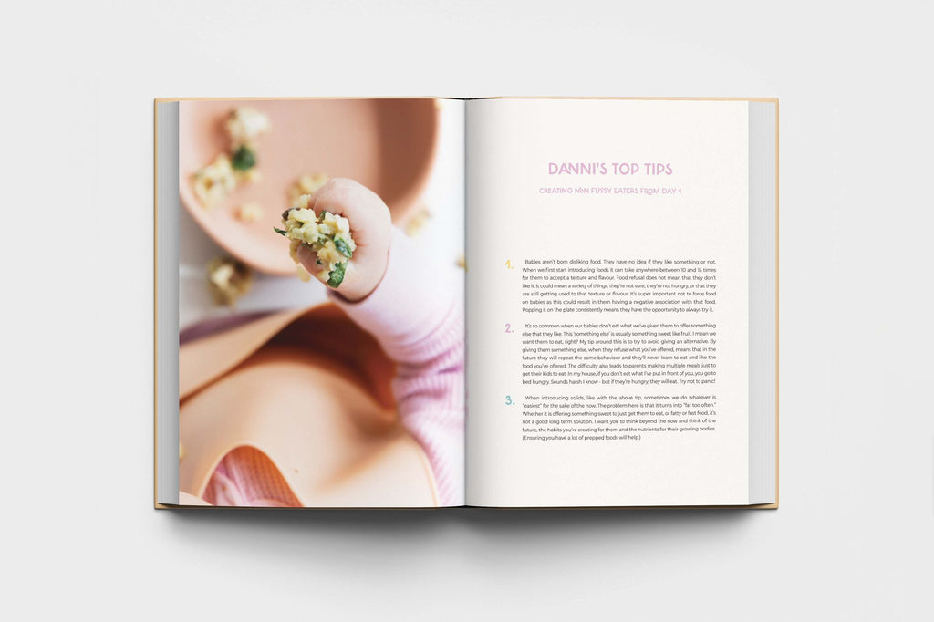 Baby Food Cookbook